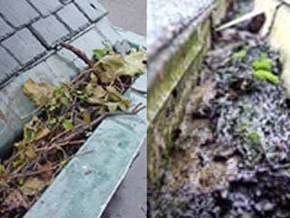 CloggedGutters Clogged Gutters that need gutter cleaners