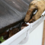 Clogged Gutters, Call Gutter Cleaning Experts in Louisville, Kentucky