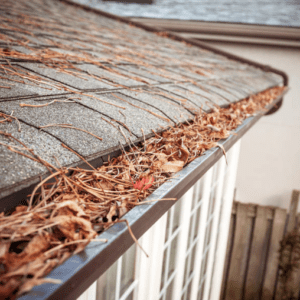 Screen Shot 2020-04-23 at 8.39.47 PM Clogged Gutters Lead to Foundation problems, get your gutters cleaned by the professionals at Gutter Junkies