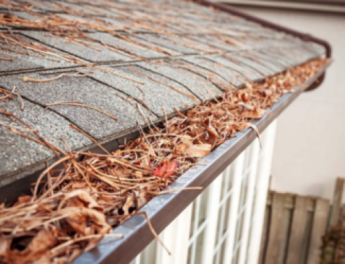 Why You Should Hire a Professional Gutter Cleaner