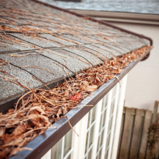 Clogged Gutters Lead to Foundation problems, get your gutters cleaned by the professionals at Gutter Junkies