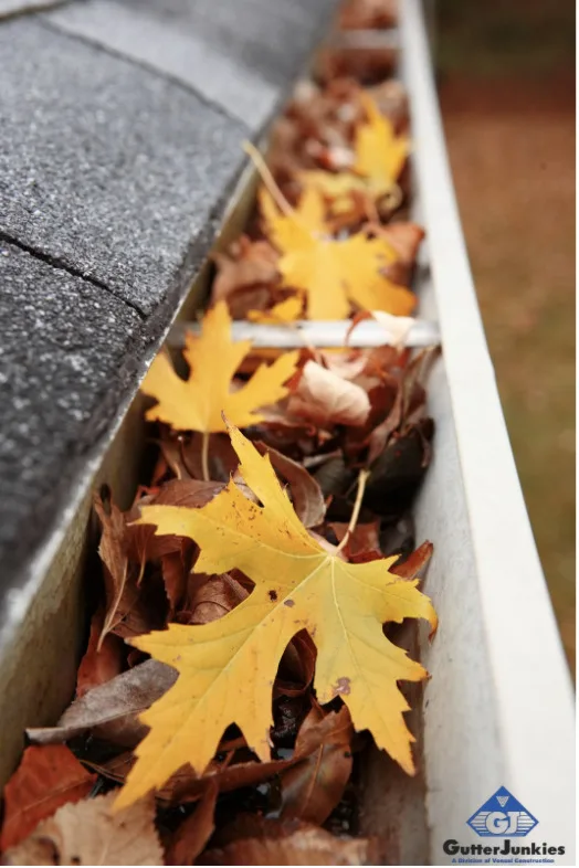 gutter cleaning do's & don'ts