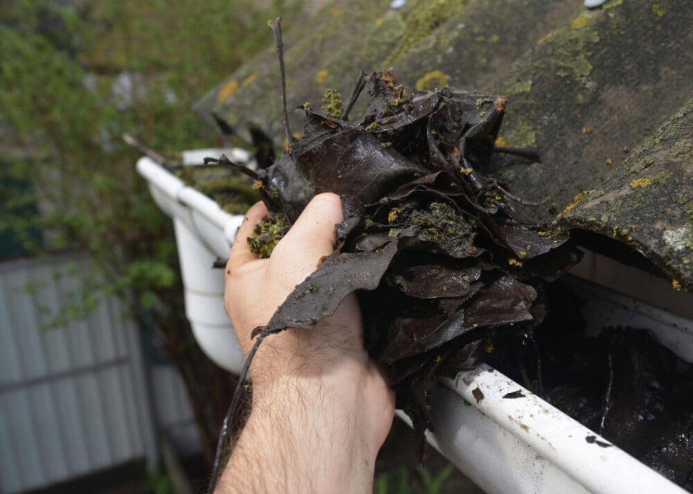 What Determines the Cost of Gutter Cleaning Gutter Junkies